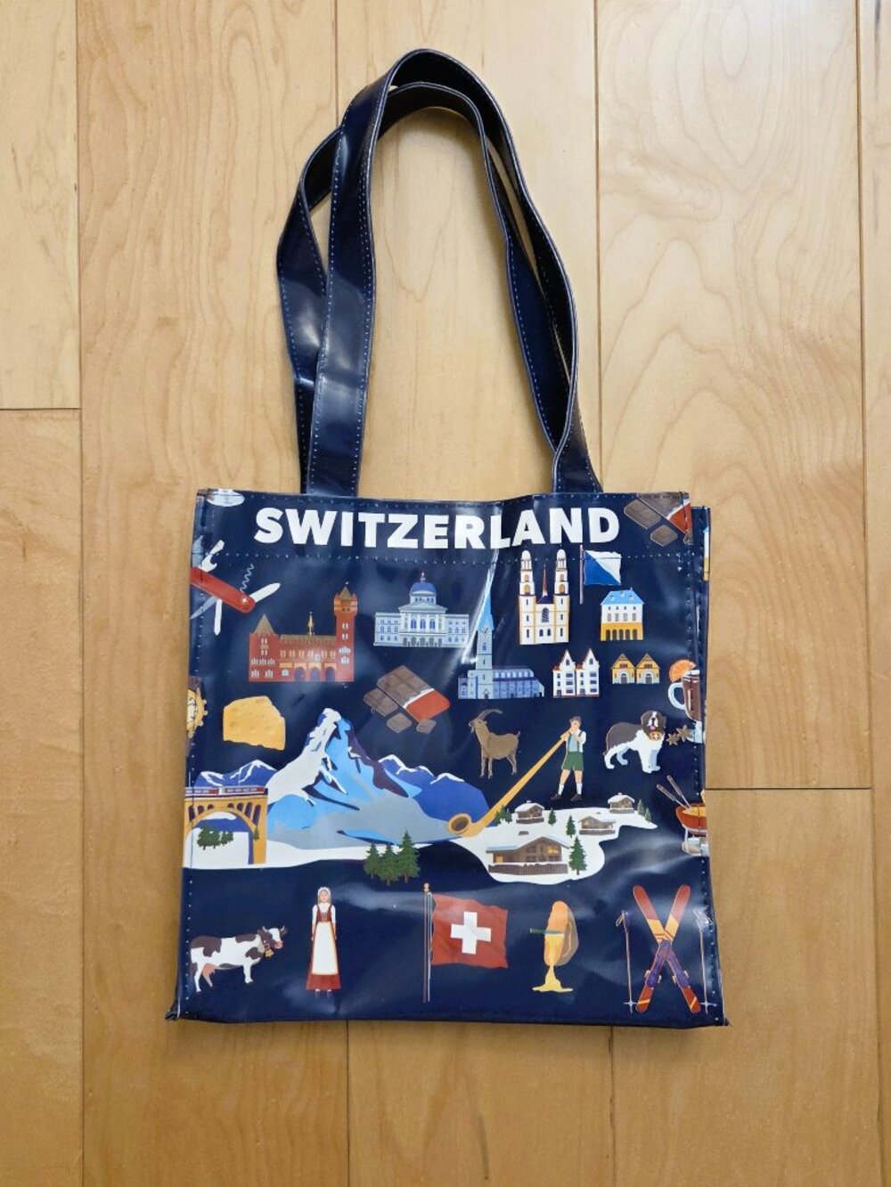 Switzerland Plastic Small Tote Bag Pocket 2 Handles Blue Design Landmarks New